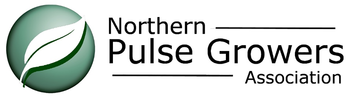 northern pulse